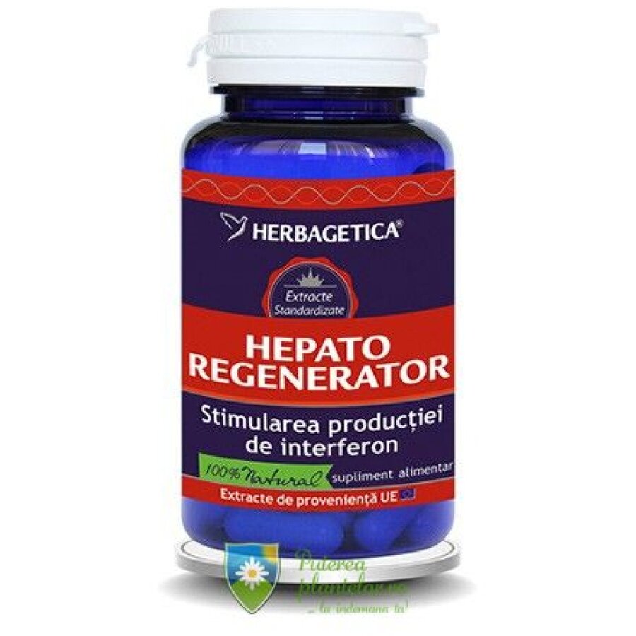 Hepato Regenerator 60 capsule