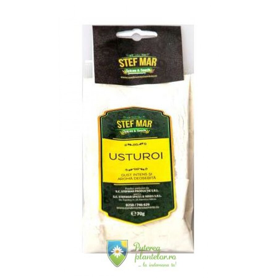 Usturoi pudra 70 gr