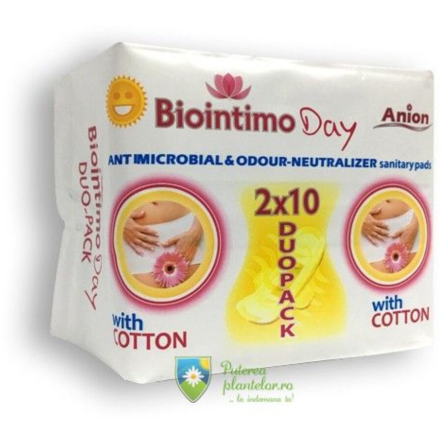 Absorbante de zi 2*10 buc