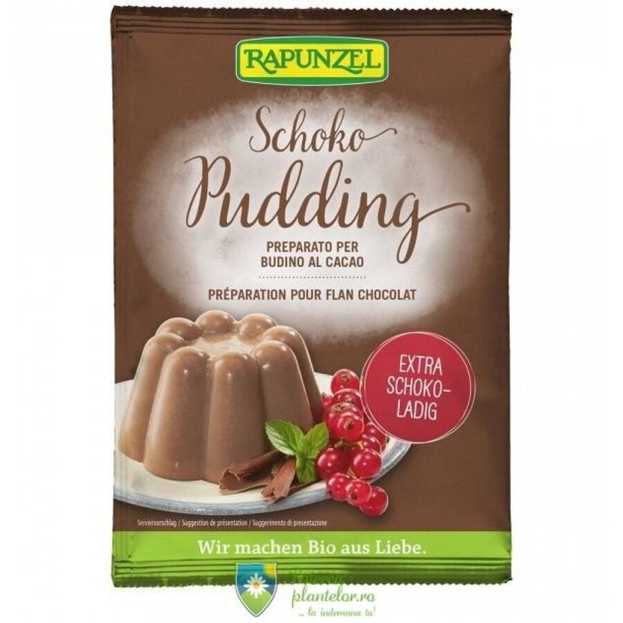 Pudra budinca Bio de ciocolata 50 gr