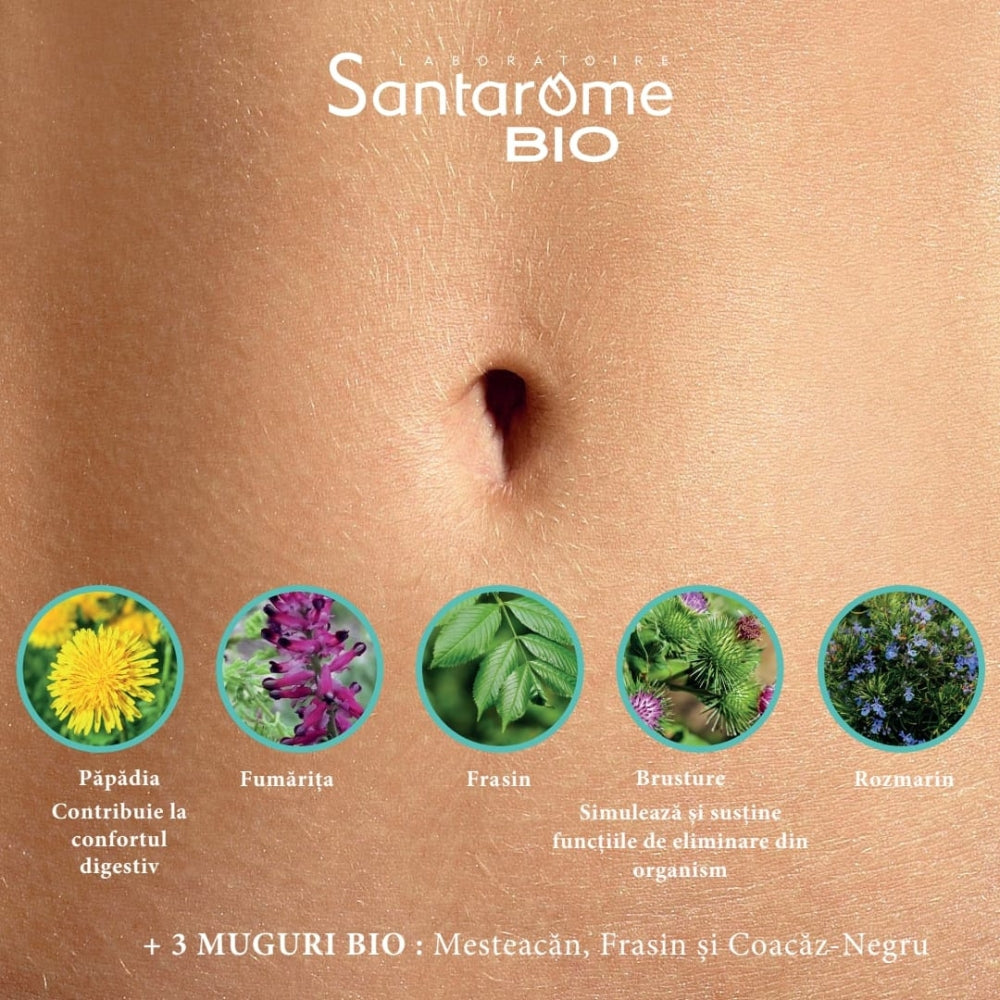 Detox bio 20 fiole Santarome