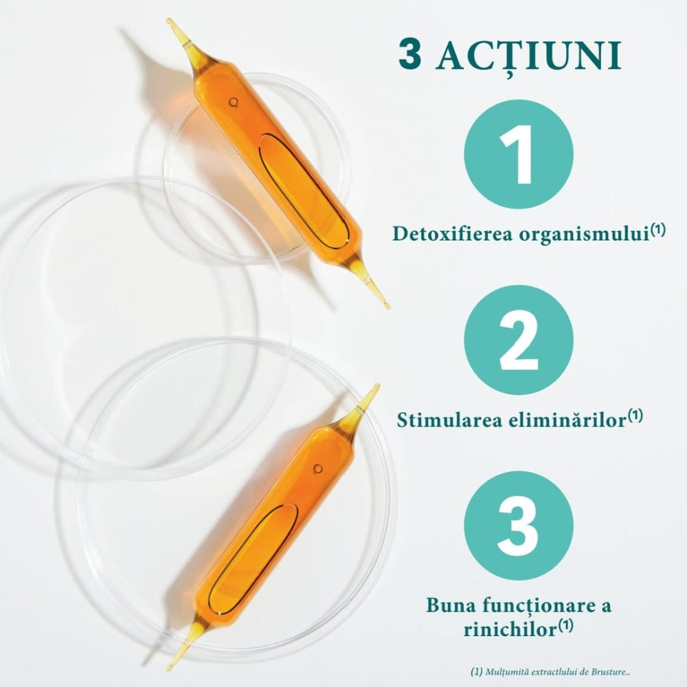 Detox bio 20 fiole Santarome