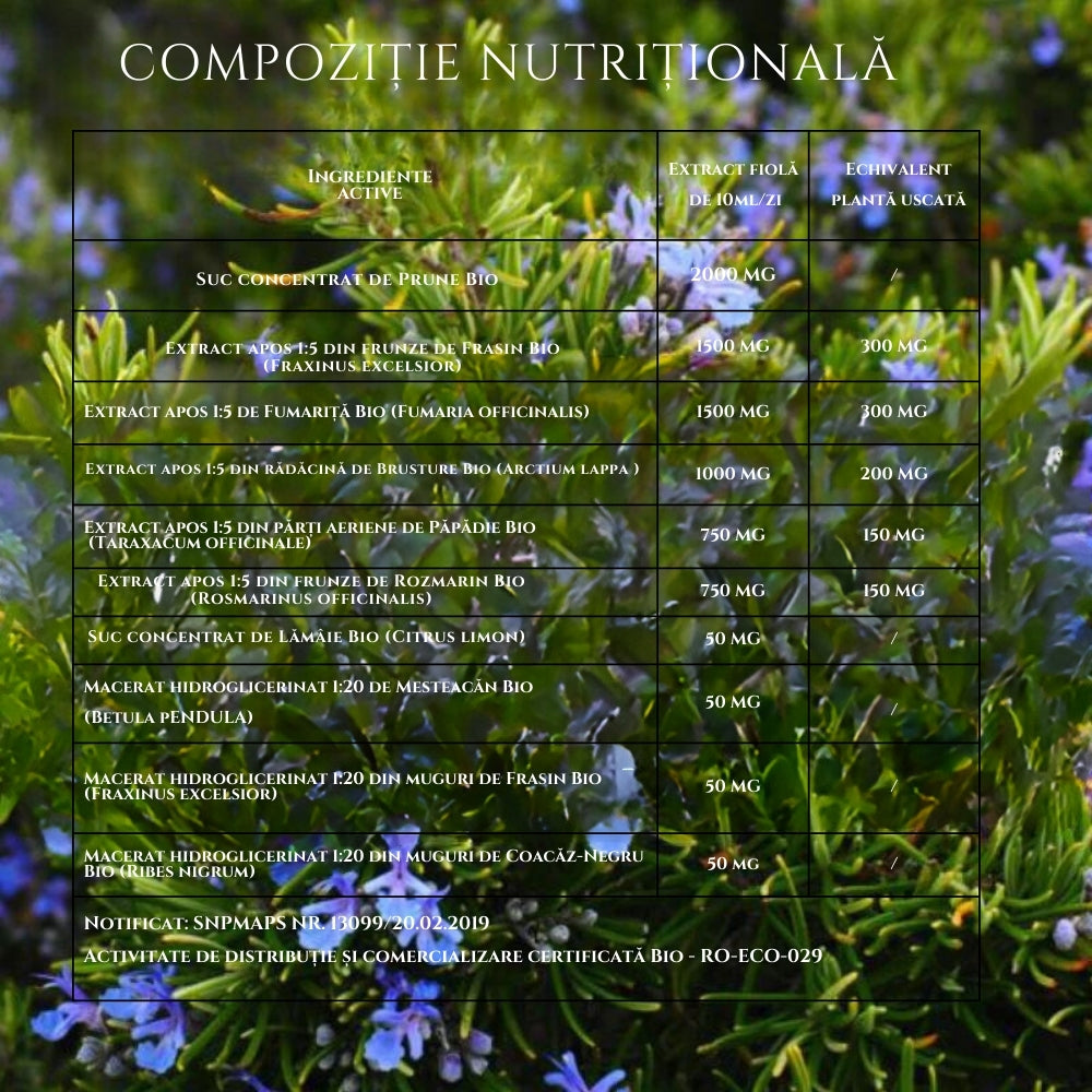 Detox bio 20 fiole Santarome