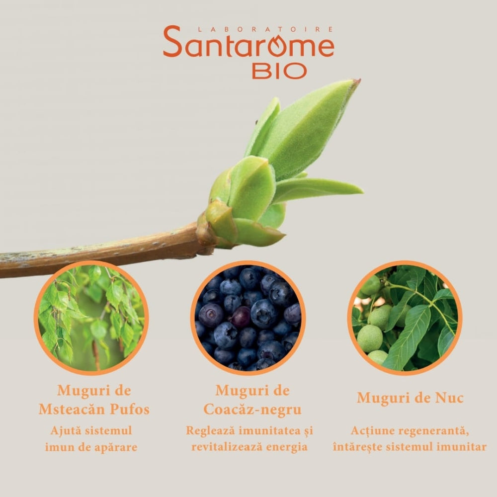 Allerus Bio Santarome