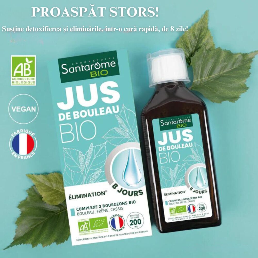 Suc de mesteacan bio 200ml