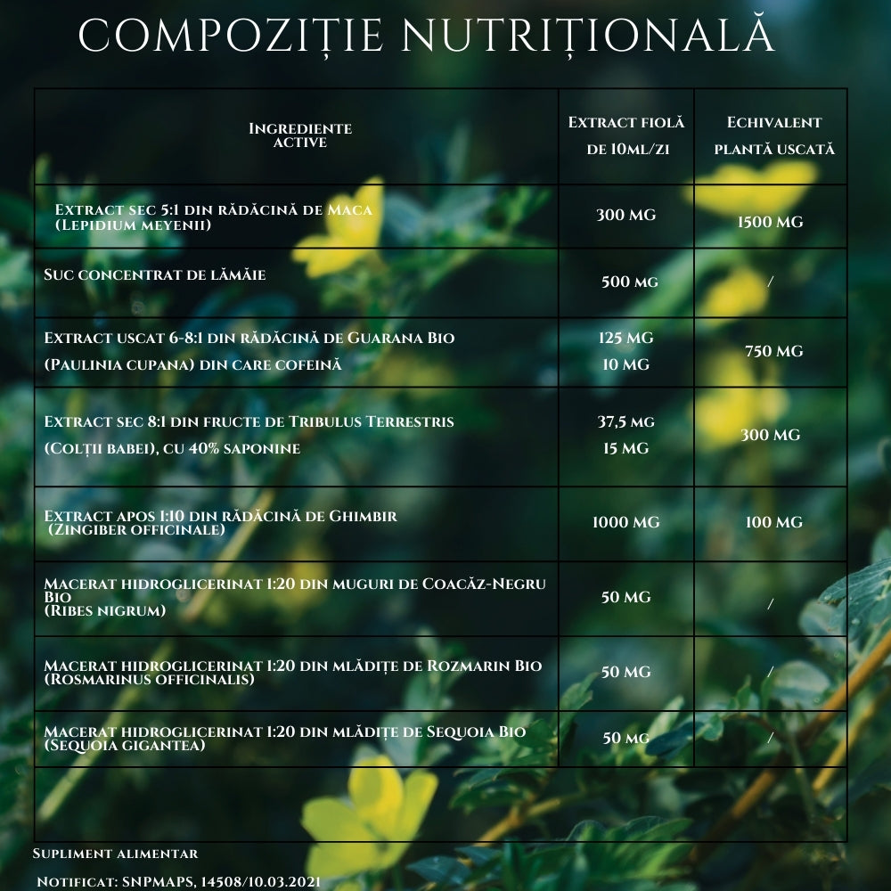 Maca 1500 tribulus ginseng ghimbir bio 20 fiole