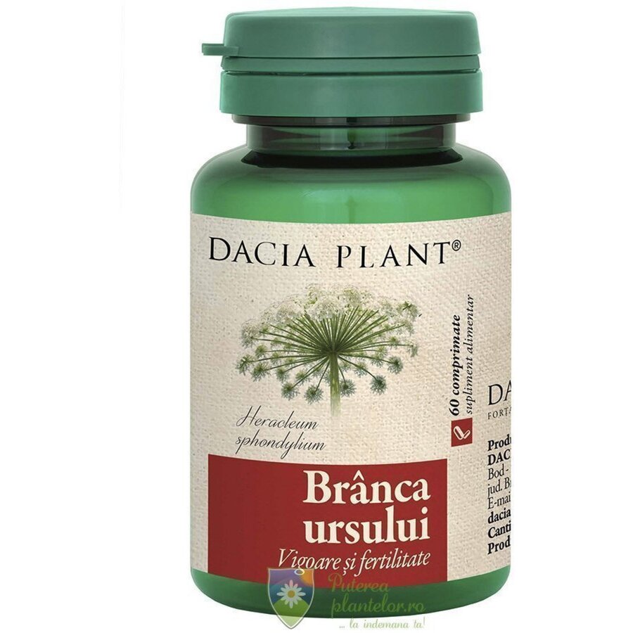 Branca Ursului 60 comprimate