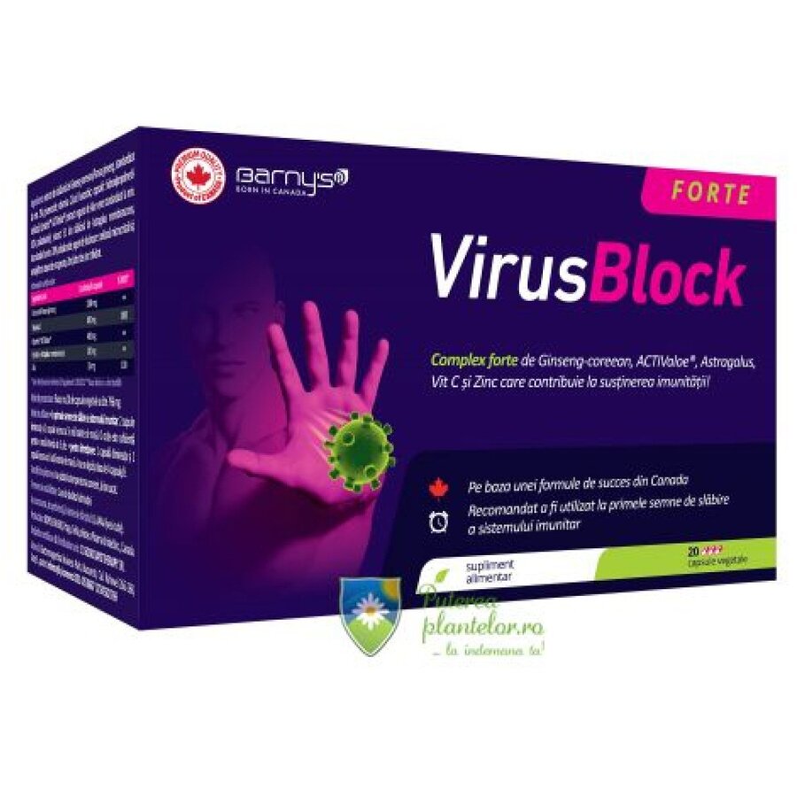 Barny's VirusBlock Forte 20 capsule