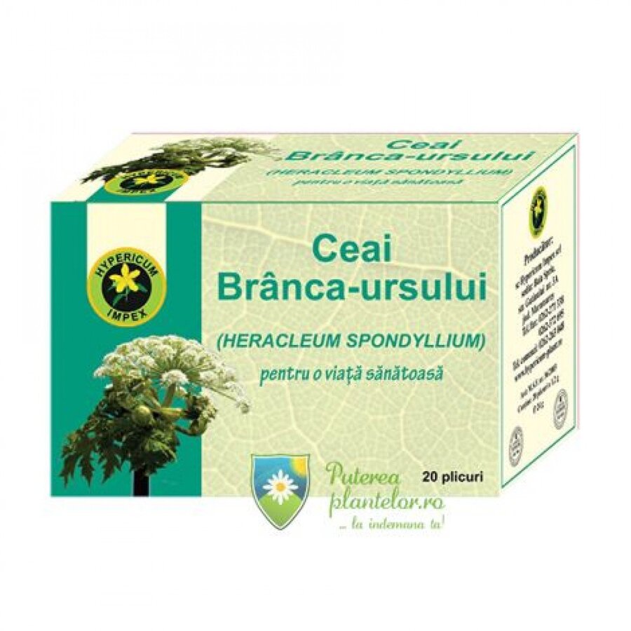 Branca Ursului Ceai 20 plicuri