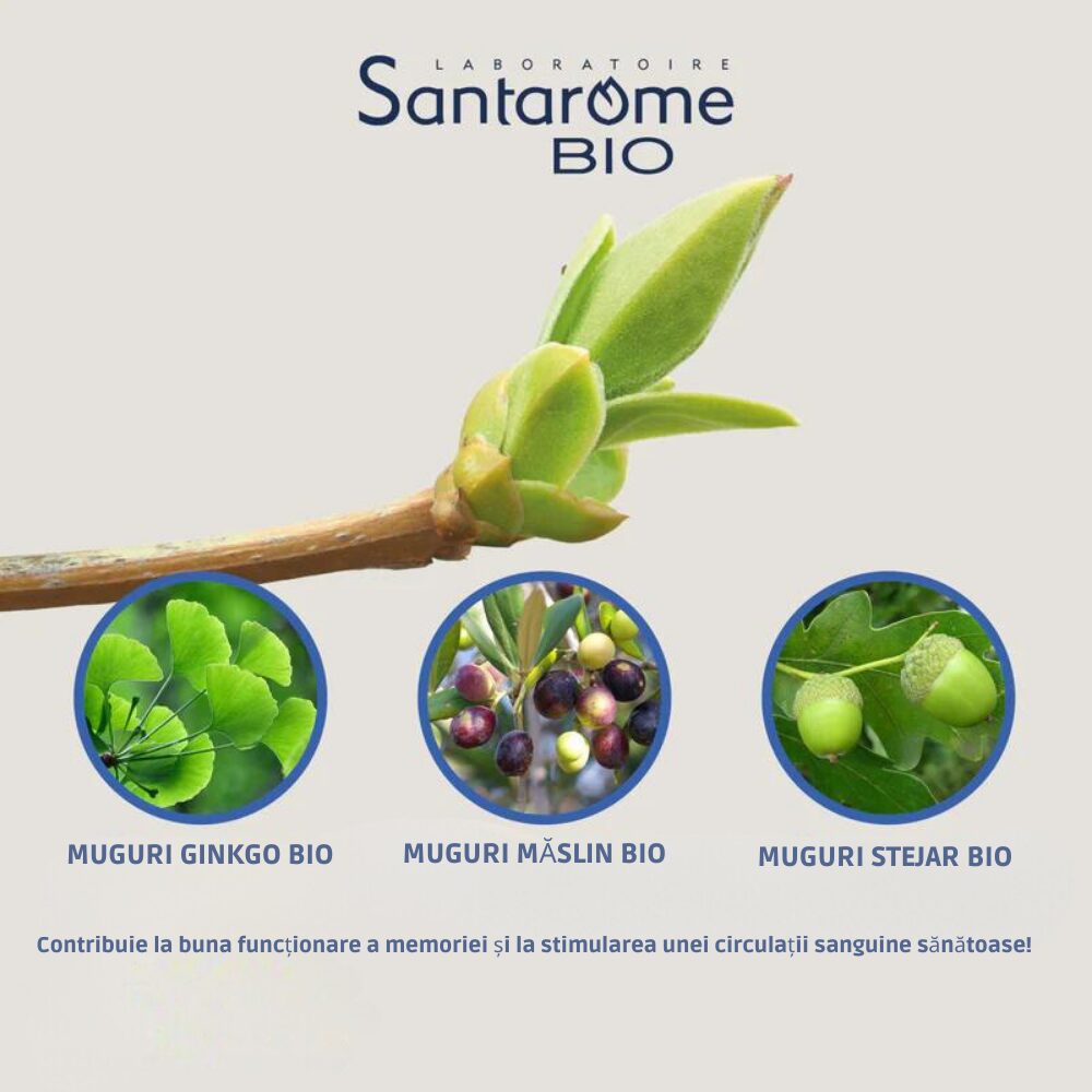 Memorie Bio Santarome