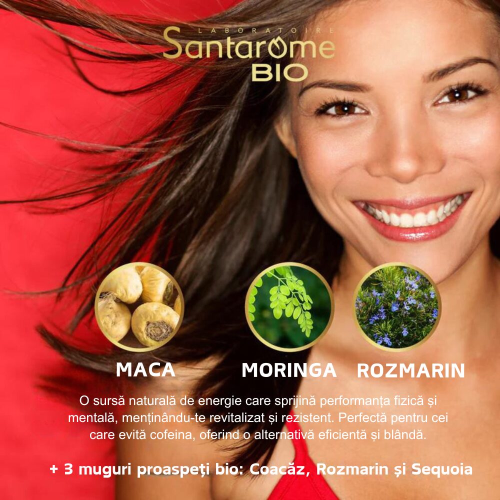 Moringa Maca Bio x 20 fiole Santarome