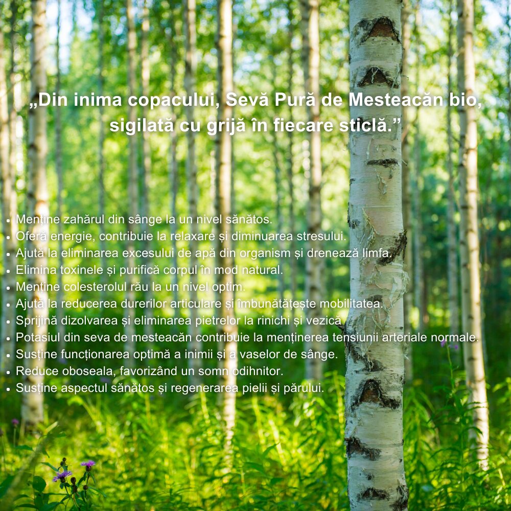 Sevă de Mesteacăn Pură BIO x 500ml Santarome