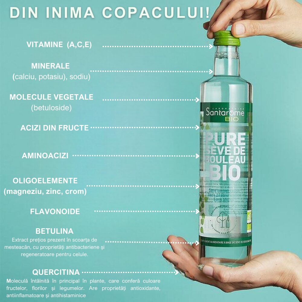 Sevă de Mesteacăn Pură BIO x 500ml Santarome