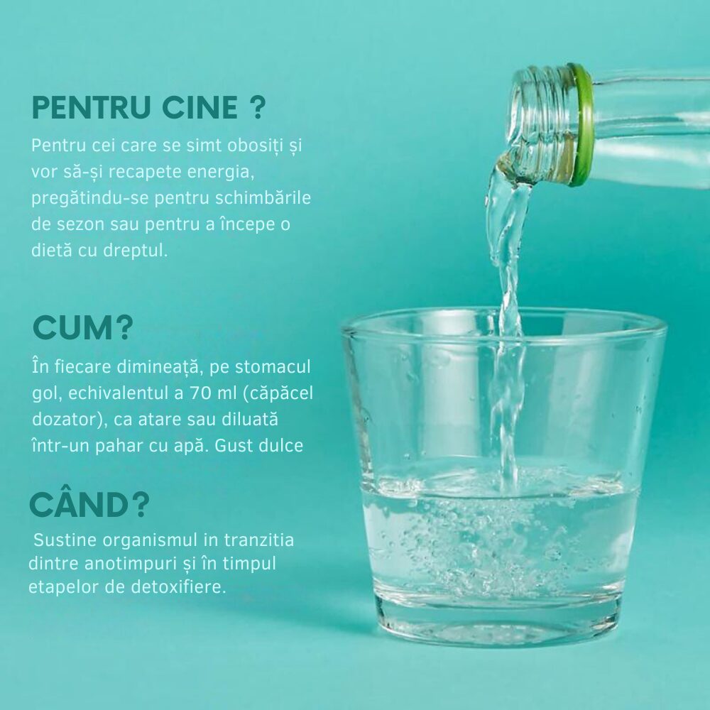 Sevă de Mesteacăn Pură BIO x 500ml Santarome