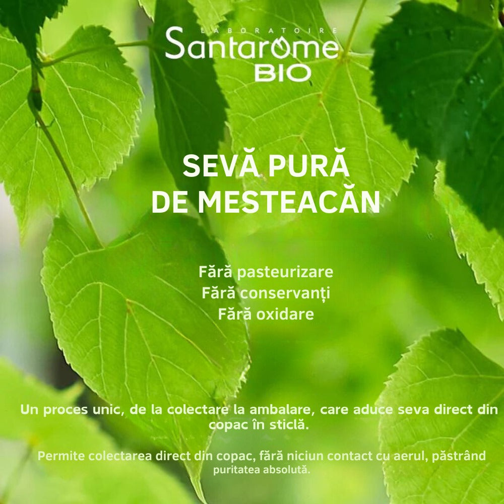 Sevă de Mesteacăn Pură BIO x 500ml Santarome