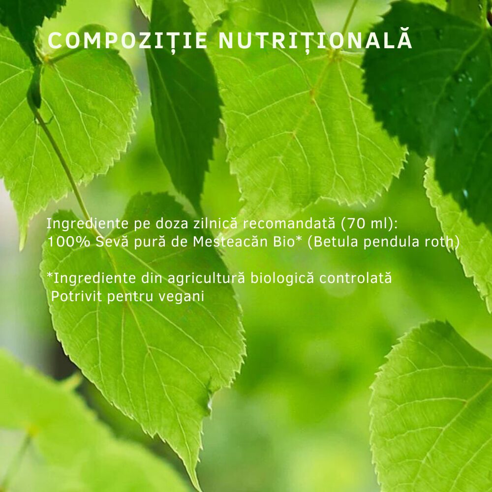 Sevă de Mesteacăn Pură BIO x 500ml Santarome