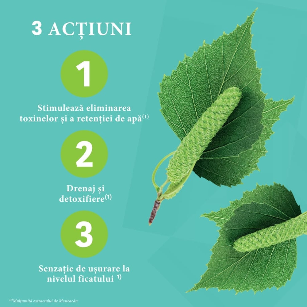 Suc de mesteacan bio 200ml