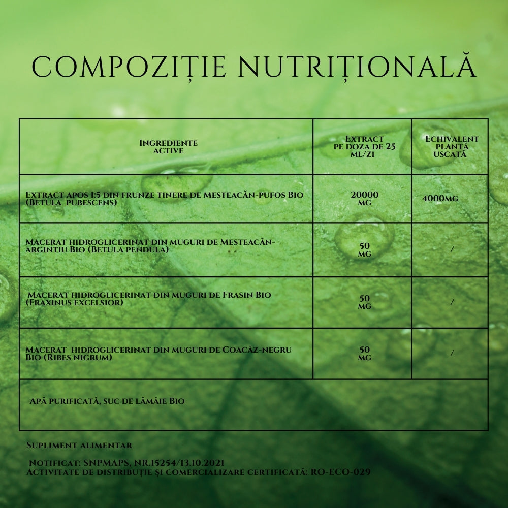 Suc de mesteacan bio 200ml