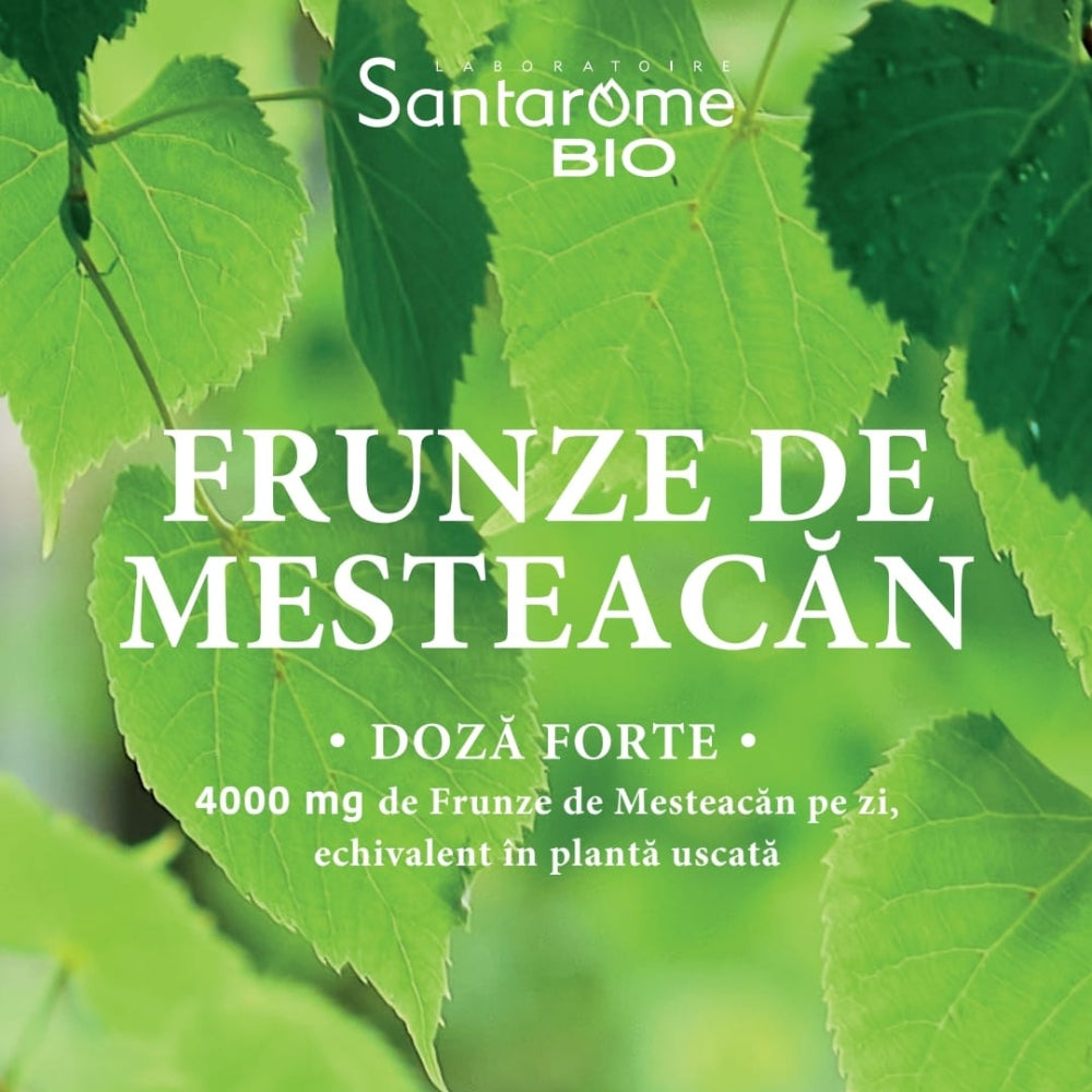 Suc de mesteacan bio 200ml