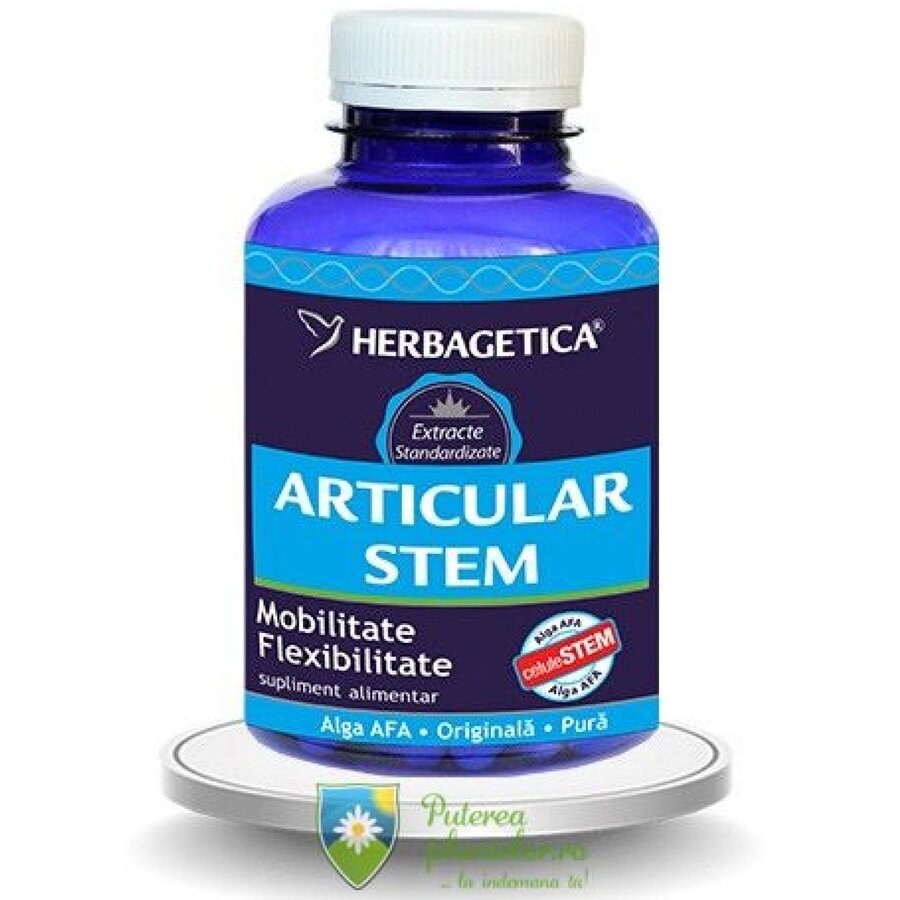 Articular Stem 120 capsule