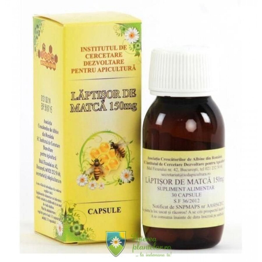 Laptisor de Matca 30 cap