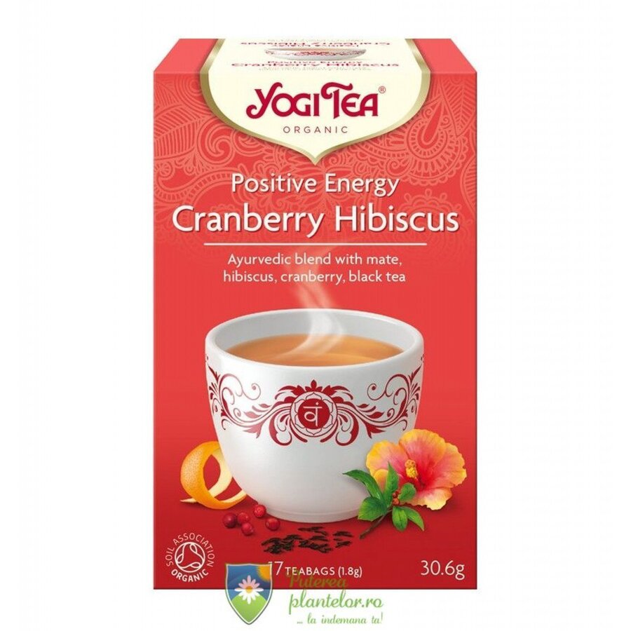 Ceai Bio Energie pozitiva Merisor si hibiscus 30.6 gr (17 plicuri)