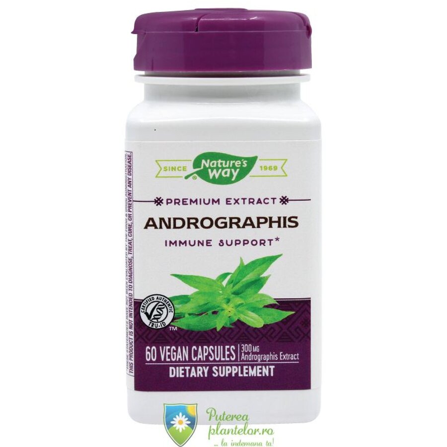 Andrographis 60 capsule