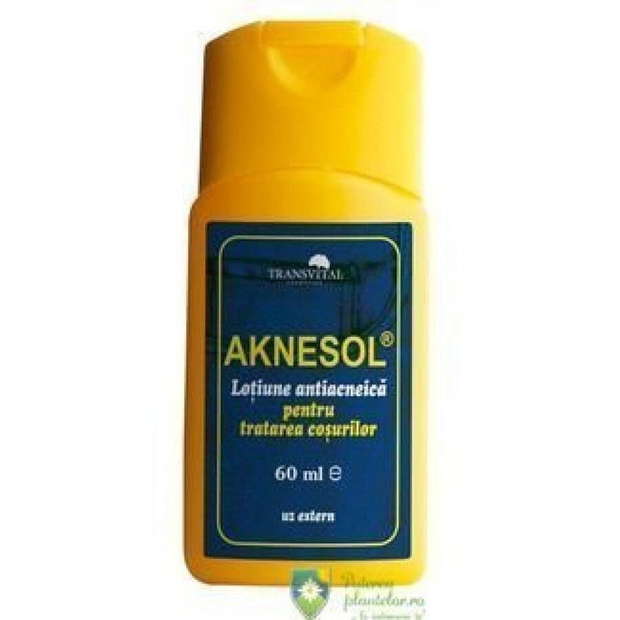 Aknesol Lotiune 60 ml Expira: 25.05.2025