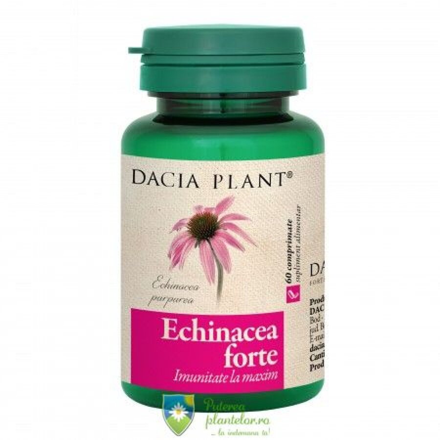 Echinacea forte 60 comprimate