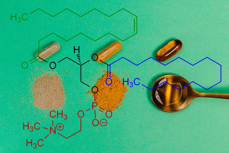 Lecitina: Beneficii, Rol si Contraindicatii