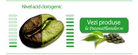 Cafeaua verde – antioxidantul suprem