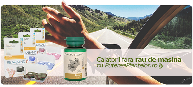Uleiul de cocos in retetele frumusetii