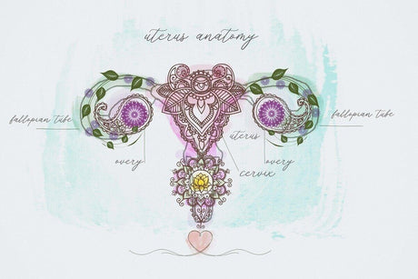 Amenoree - ce reprezinta, cauze si solutii naturiste pentru combaterea ei