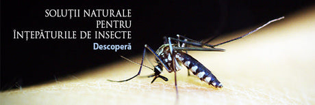 Protectie impotriva intepaturilor de insecte