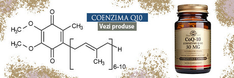 Coenzima Q10