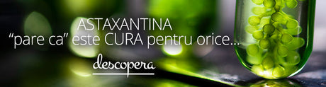 Astaxantina