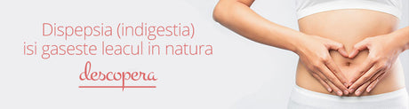 Dispepsia (indigestia)
