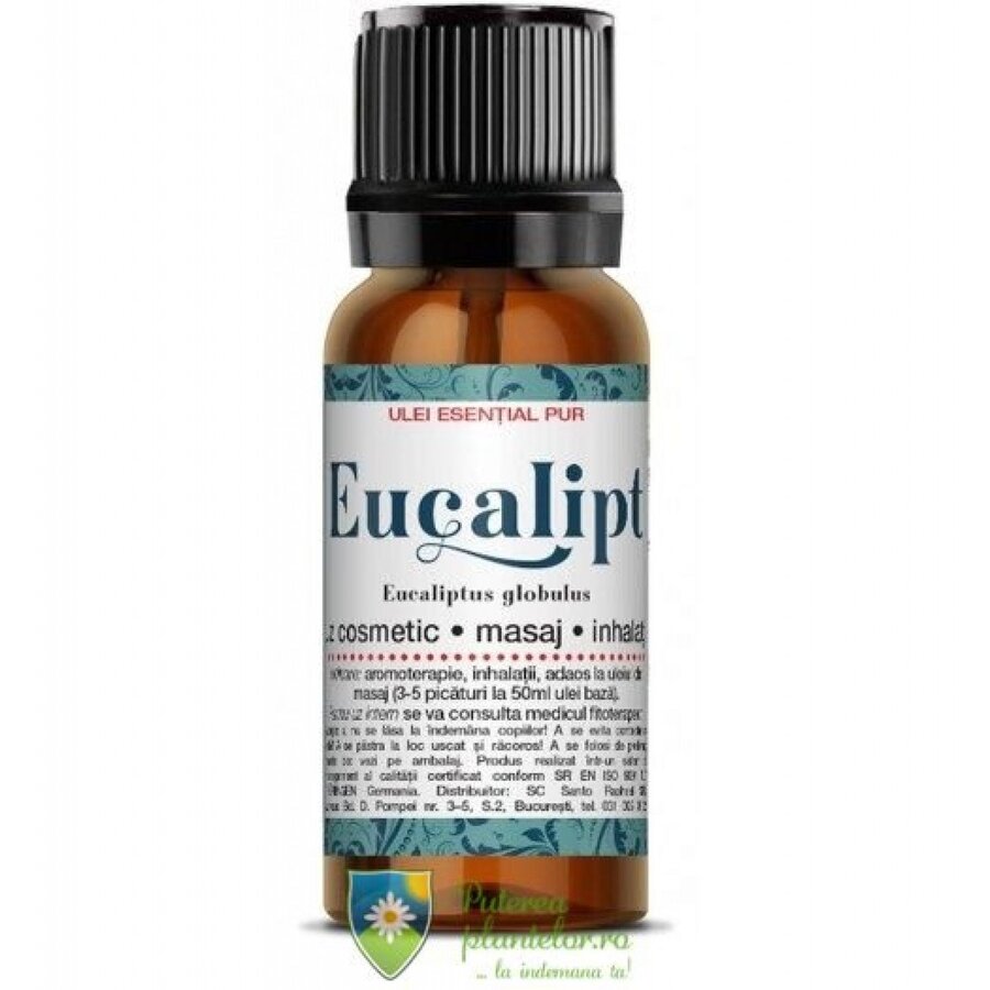 Ulei esential de eucalipt 10 ml