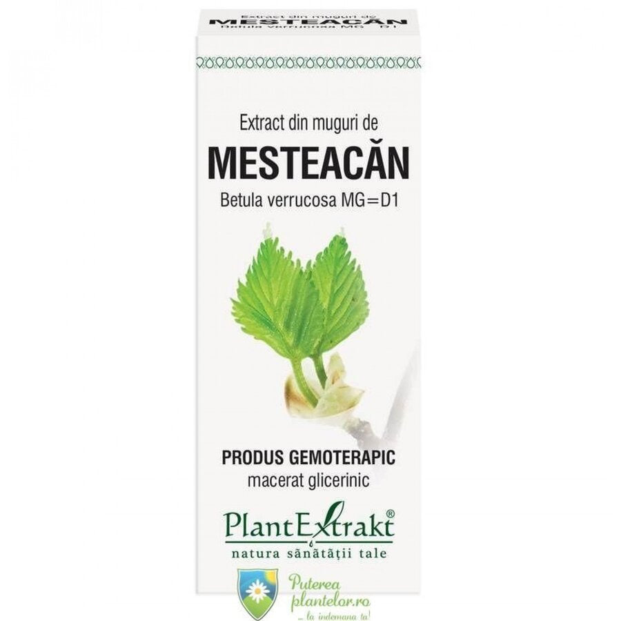 Extract din Muguri de Mesteacan 50 ml