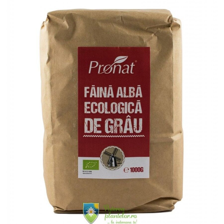 Faina alba de grau Bio 1 kg