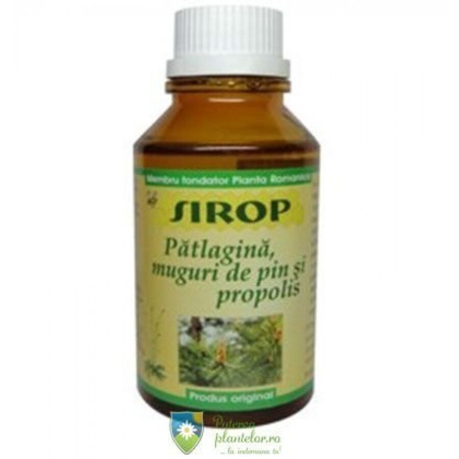 Sirop Patlagina, muguri de pin si propolis 200 ml