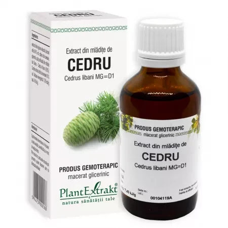 Extract din Mladite de Cedru 50 ml