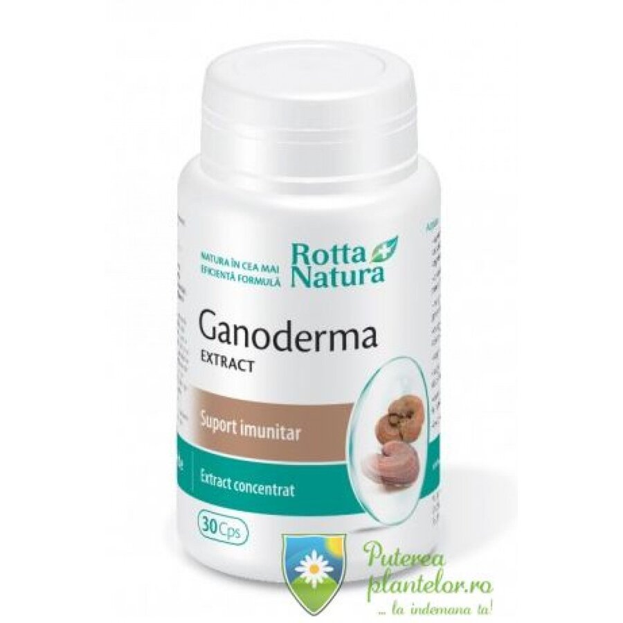 Ganoderma extract 30 capsule