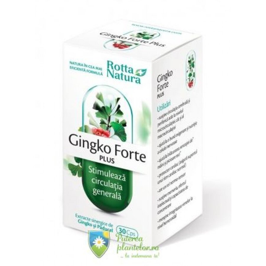 Gingko forte-plus 30 capsule