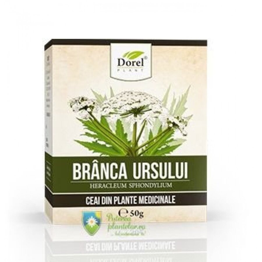 Ceai de Branca ursului 50 gr