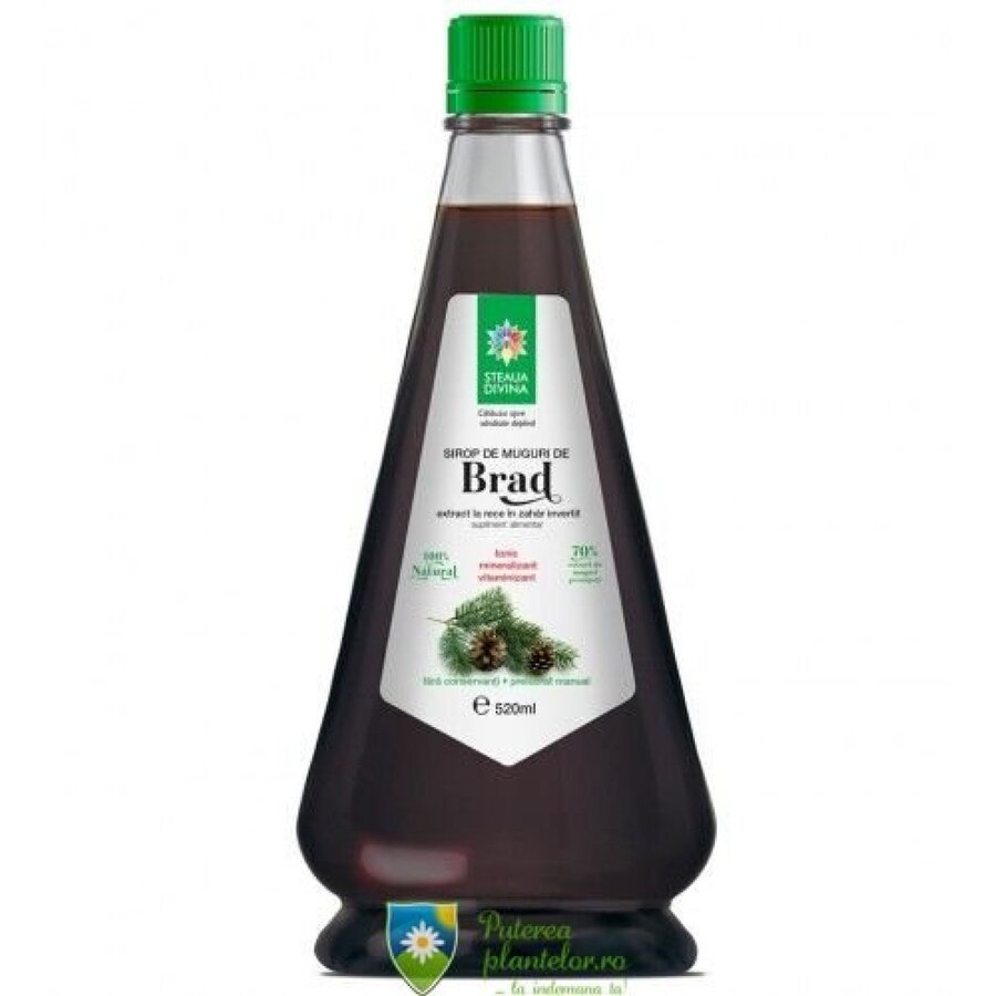 Sirop de Muguri de Brad 520 ml