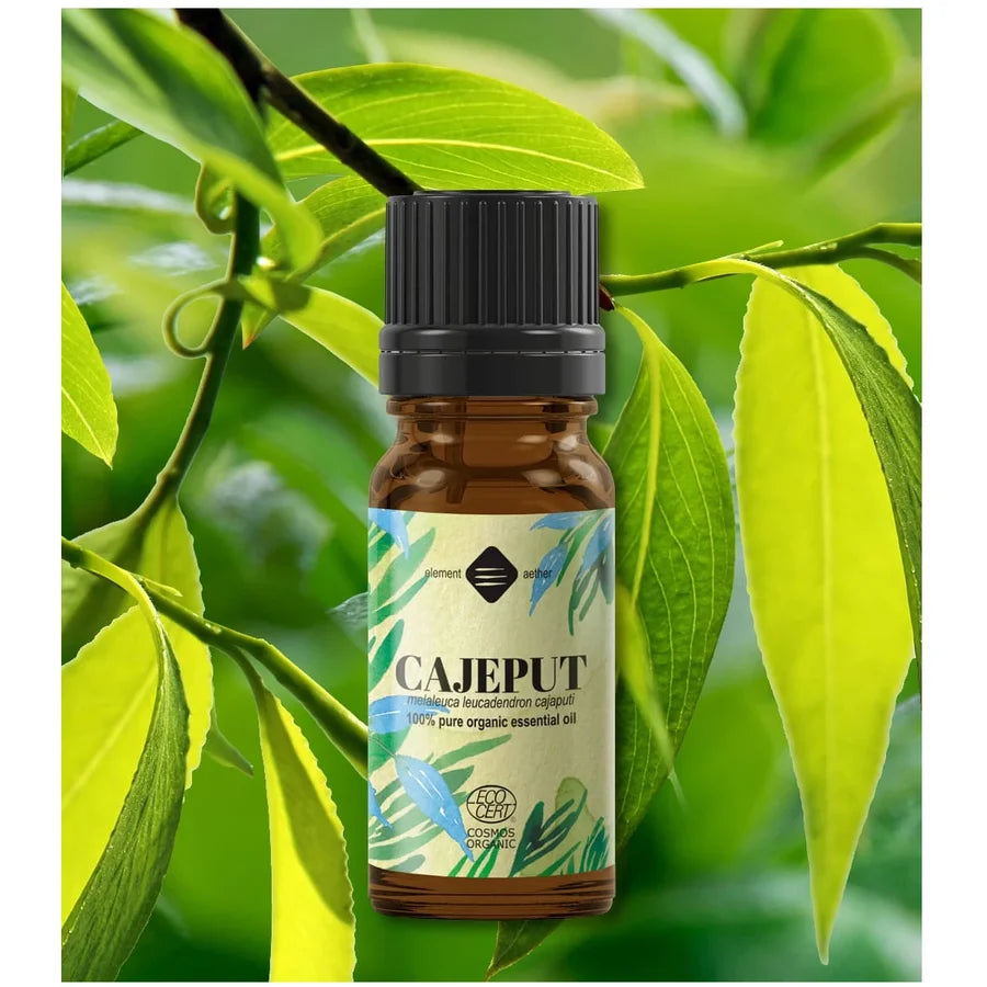 Ulei Esential de Cajeput Bio 10 ml