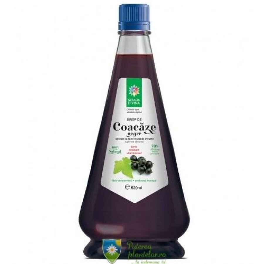 Sirop de Coacaz Negru 520 ml