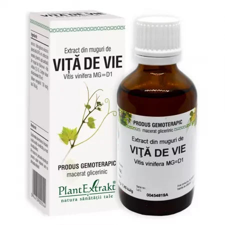 Extract din Muguri de Vita de vie 50 ml