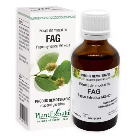 Extract din Muguri de Fag 50 ml